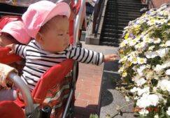 ひよこ組☆4月の様子