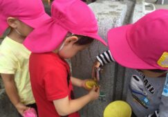2歳児　★泥団子★