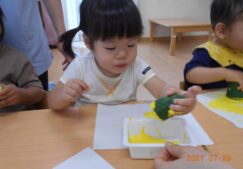 お庭で採れたけど・・・・