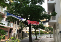 令和4年度　こいのぼり掲揚式