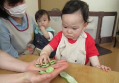 食育活動～にじ組～
