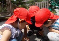 ぱんだ組　～6月の様子～