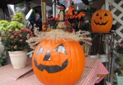もうすぐハロウィン