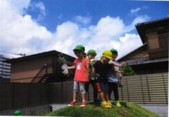 幼児活動：根の観察