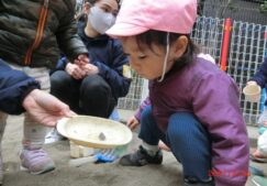 ひよこ組のお散歩
