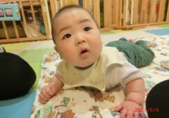 ひよこ組☆5月の様子