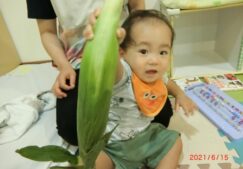 ひよこ組☆6月食育