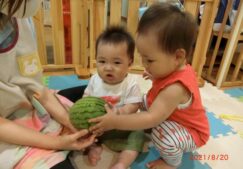 ひよこ組☆8月食育