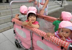 ひよこ組☆9月の様子