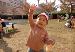 ひよこ組☆１１月の様子