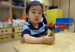 ２歳児ぱんだ組『食育：ソラマメのさやとり』
