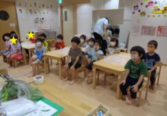 ５歳児くじら組『食育：そらまめとさやえんどうの皮むき』