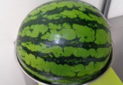 小玉から大玉に(^_-)-☆