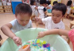 ２歳児ぱんだ組『寒天遊び』