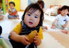 食育　じゃがいも、さわったよ