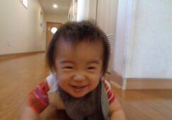 ハイハイでよ～いスタート！