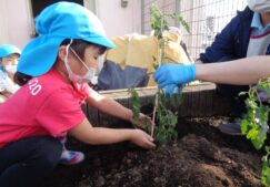 ５歳児くじら組　「大きくなあれ！」