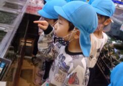 ５歳児くじら組　「仲間が増えたよ！」