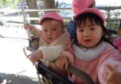 １年間ありがとうございました！