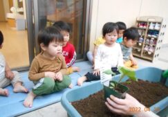 長なす　2歳児つぼみ組☆彡
