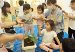 みんなで苗を植えました！