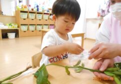 枝豆☆鞘取り～2歳児