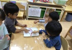 3歳児『お魚解体ショー』