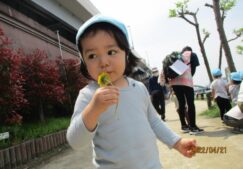 うさぎ組☆４月の様子