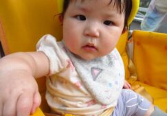 0歳児　お散歩