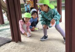 ３歳児うさぎ組『リバーハープ公園』