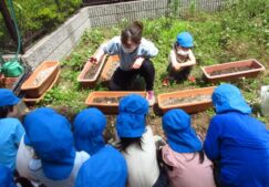 5歳児　苗植え