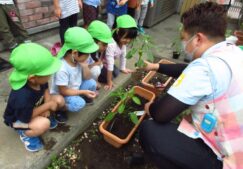 4歳児　苗植え