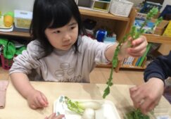 1月食育「七草がゆ作り」