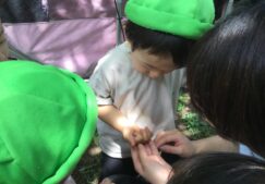 1歳児　★だんごむし見つけたよ！★