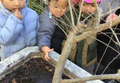 2歳児　★水が凍ってる！★