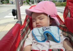 お散歩に行ってきました♪　～にじ組～