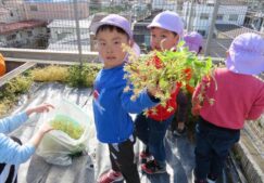 5歳児くじら組『草むしり』