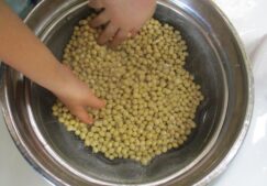 味噌仕込み～４歳児クラス