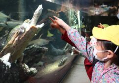 4歳児　????池袋サンシャイン水族館????