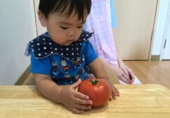 7月食育☆彡「トマトソース作り」「夏野菜ピザ作り」