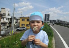 4月19日