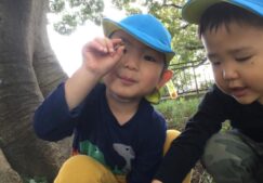 3歳児　★秋の自然物★