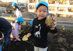 ４歳児きりん組『おいもほり』