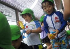 4歳児　水遊び