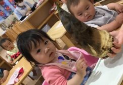１歳児りす組（ひよこ）『こどもの日会＆おやつ』