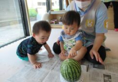 すいかわりをしました！～にじ組～
