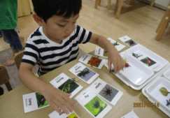 新園の様子