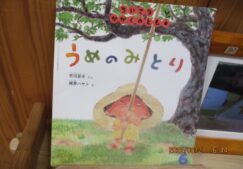 梅シロップ作り①　～幼児クラス