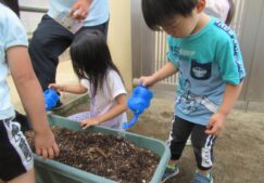 小松菜植えました!!