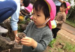 2歳児　★散歩で発見！★